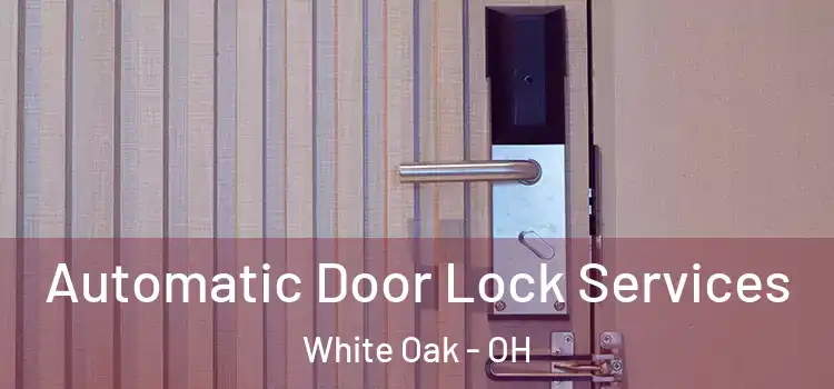 Automatic Door Lock Services White Oak - OH