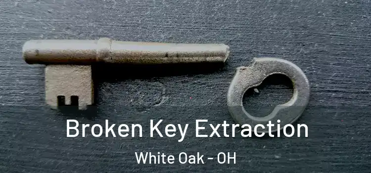 Broken Key Extraction White Oak - OH