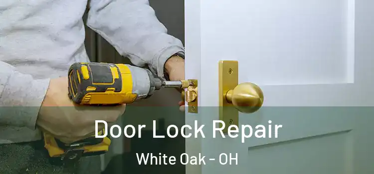 Door Lock Repair White Oak - OH