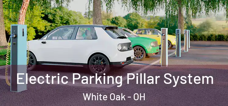 Electric Parking Pillar System White Oak - OH