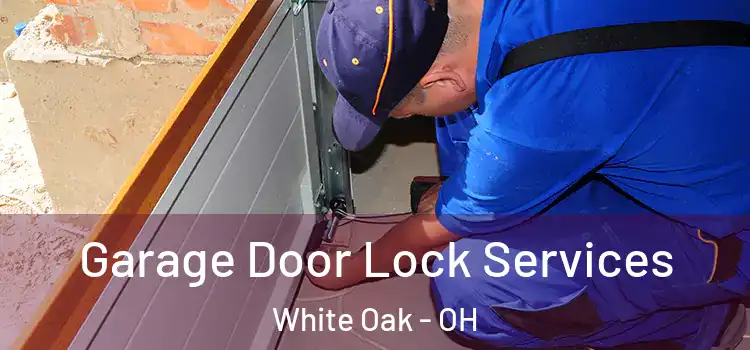 Garage Door Lock Services White Oak - OH