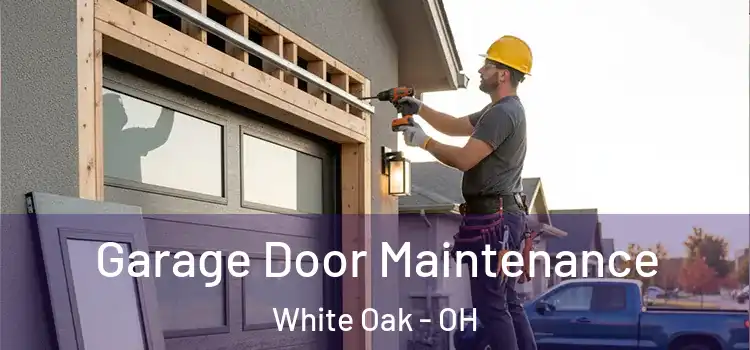 Garage Door Maintenance White Oak - OH