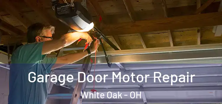  Garage Door Motor Repair White Oak - OH