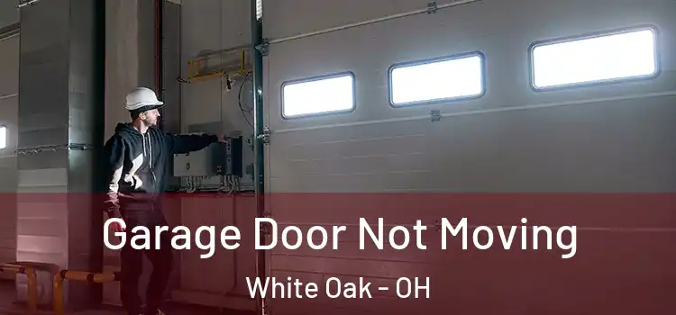  Garage Door Not Moving White Oak - OH