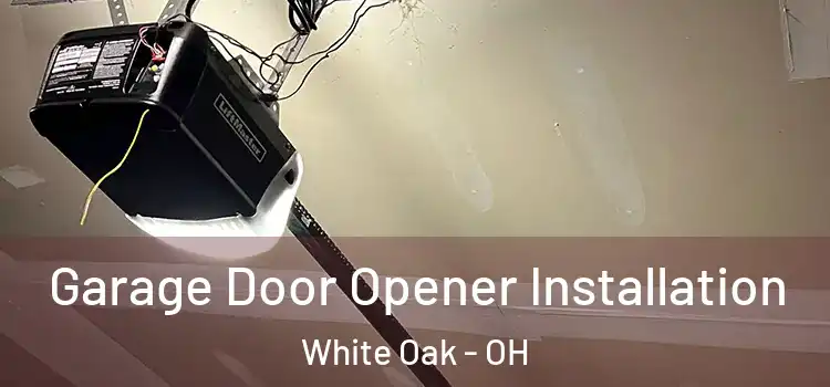  Garage Door Opener Installation White Oak - OH