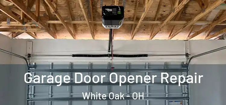  Garage Door Opener Repair White Oak - OH