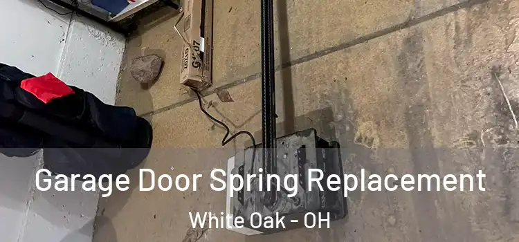  Garage Door Spring Replacement White Oak - OH