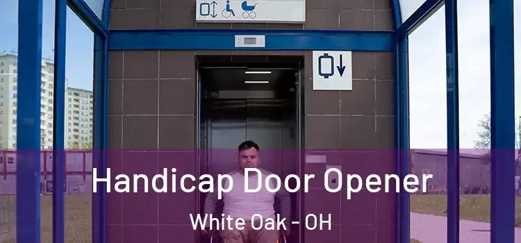 Handicap Door Opener White Oak - OH