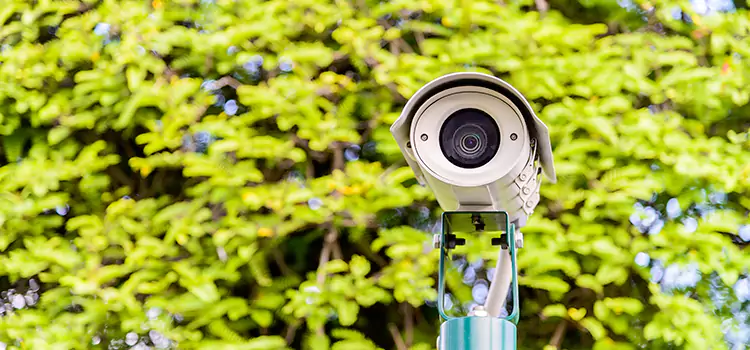Advanced Surveillance Solutions for Every Need in White Oak