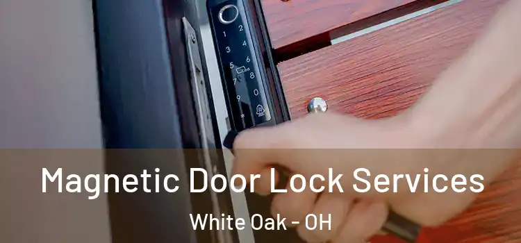 Magnetic Door Lock Services White Oak - OH