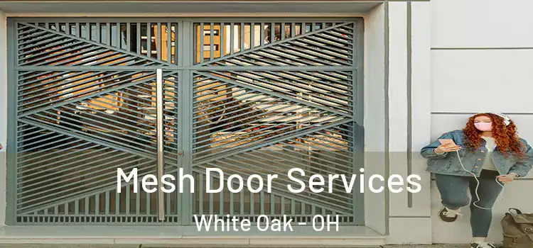 Mesh Door Services White Oak - OH